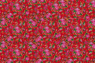 photoshop怎么制作出高大上的東北花棉襖