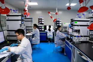 匯標(biāo)檢測獲評2019年耕地質(zhì)量標(biāo)準(zhǔn)化實驗室，助力現(xiàn)代農(nóng)業(yè)發(fā)展